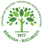 Logo SCDP Baneasa   nou 2024 05 29 at 15 50 26